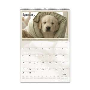  Visual Organizer Large Puppies Monthly Wall Calendar 