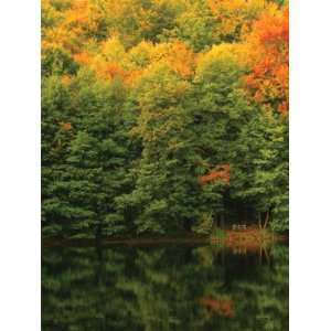  Wallpaper Brewster the Ultimate Mural Book Autumn at the 