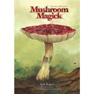   Magick A Visionary Field Guide [Hardcover] Gary Lincoff Books