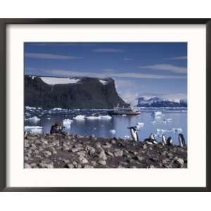  Photographer, Cruise ship and Adelie penguins, Antarctica 