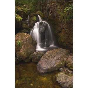 Lodore Falls II (Canvas) by Andrew Fyfe. size 13 inches width by 20 