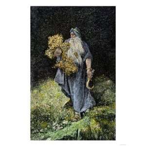  Druid Carrying Mistletoe and a Sickle Premium Poster Print 