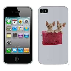  Devon Rex Two on AT&T iPhone 4 Case by Coveroo  