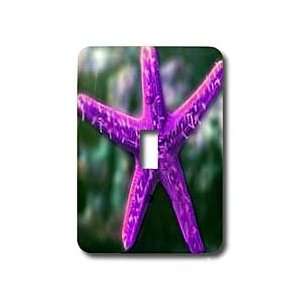 Sandy Mertens Animals From the Sea Designs   Purple Starfish   Light 