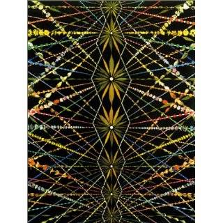 Fred Tomaselli by Gregory Volk, Arthur Solway and Fred Tomaselli 