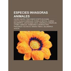   Solenopsis (Spanish Edition) (9781231388167) Fuente Wikipedia Books