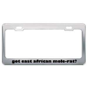 Got East African Mole Rat? Animals Pets Metal License Plate Frame 