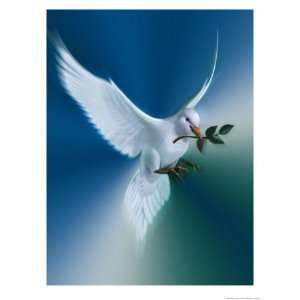  Dove of Peace Giclee Poster Print, 42x56