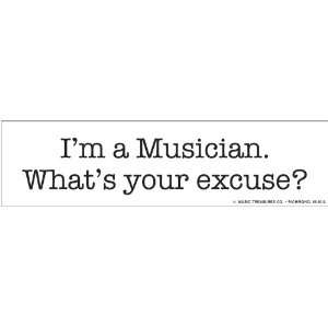  Im A Musician. Whats Your Excuse? Bumper Sticker Health 