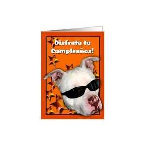 Feliz Cumpleaños Cool Pitbull Card