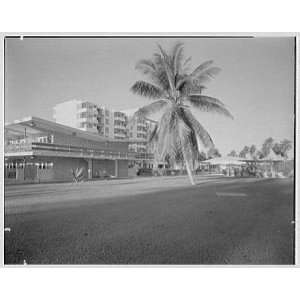  Photo Arawak Hotel, Jamaica, British West Indies. Cabana 