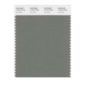   PANTONE SMART 17 6212X Color Swatch Card, Sea Spray