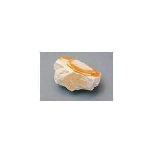SciEd Individual Mineral Specimens Fluorite Kyanite; Kaolin, white 