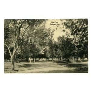  City Park Postcard Douglas Arizona 1916 Albertype 