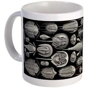  Haeckel Trilobite Science Mug by  Kitchen 