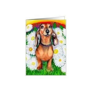  Dachshund Dog Art Doxie Daisy Patch Card Health 