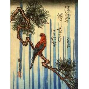   Japanese Art Utagawa Hiroshige Parrot on a pine tree
