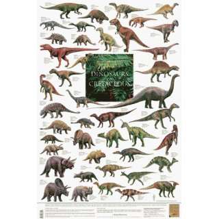  Safari 40100 Dinosaurs Of The Cretaceous Period Laminated 