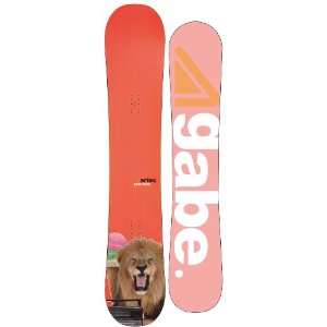  Artec Gabe Taylor Wide Snowboard 159 Mens Sports 