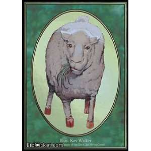  Sheep (Magic the Gathering   Unglued   Sheep Near Mint 