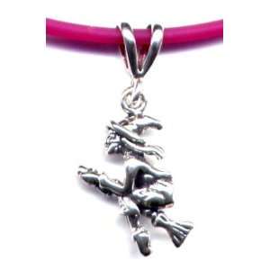  18 Fuschia Witch Necklace Sterling Silver Jewelry Sports 