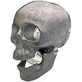 Harley Davidson Skull Headlight (UnPolished)