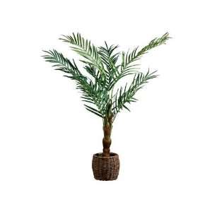  90h Areca Palm Topiary