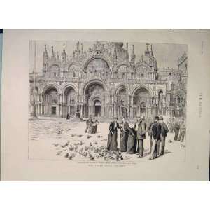   Royal Wedding Venice St MarkS Pigeons Print 1889
