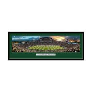 Oregon Autzen Stadium Ducks Panoramic Picture  Sports 