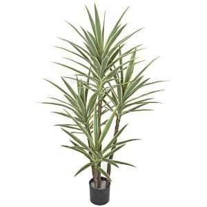  Autograph Foliages AUV 102100 5 ft. Plastic Yucca Tree 