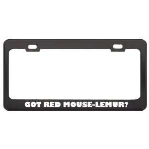 Got Red Mouse Lemur? Animals Pets Black Metal License Plate Frame 