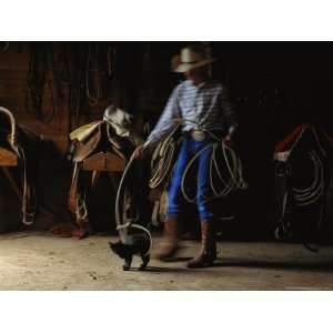  A Cowboy Playfully Lassoes a Kitten National Geographic 