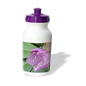   Sanders Flowers   pink azalea   Water Bottles