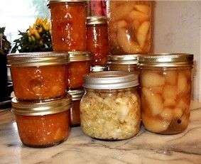 Home Canning and Preserving including Recipes 32 books  