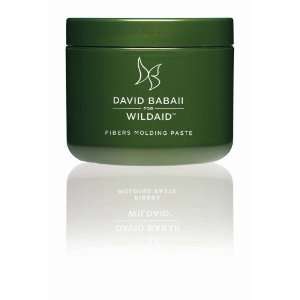  David Babaii For Wild Aid Fibers Molding Paste, 4 Ounce 