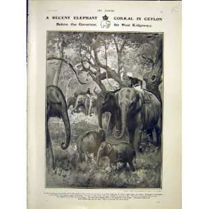  Elephant Corral Ceylon De Windt Expedition Siberia 1902 