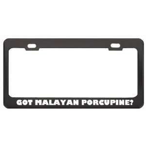 Got Malayan Porcupine? Animals Pets Black Metal License Plate Frame 