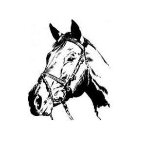 Horse   wall decal   selected color Baby Blue   Want different color 