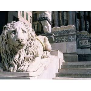  Lion, San Lorenzo Cathedral, Genoa (Genova), Liguria, Italy 