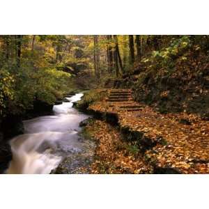  Buttermilk Creek, Ithaca, New York State, USA , 96x144 