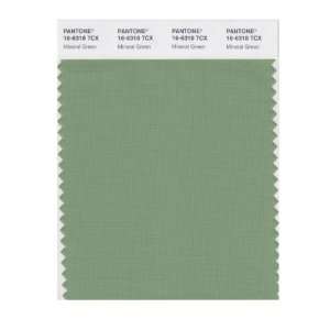   SMART 16 6318X Color Swatch Card, Mineral Green
