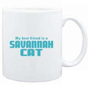    MY BEST FRIEND IS a Savannah  Cats 