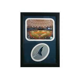 Tampa Bay Rays ALCS Tropicana Photograph with Team Logo Patch in a 12 