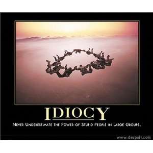 Idiocy Demotivator Lithograph 