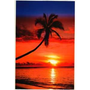  Paradise   Sunset and Palm Trees   Photography Poster   24 