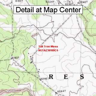  USGS Topographic Quadrangle Map   Tall Tree Mesa, Arizona 