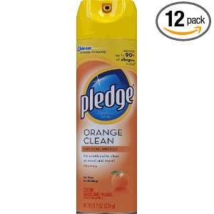  pledge Wood Polish, Orange, 9.7 Ounce (Pack of 12) Health 