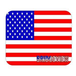  US Flag   Bridgeview, Illinois (IL) Mouse Pad Everything 