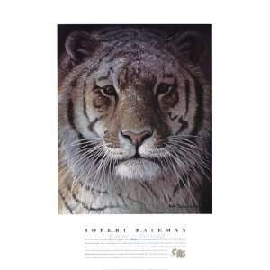  Tiger Portrait by Robert Bateman 24x32