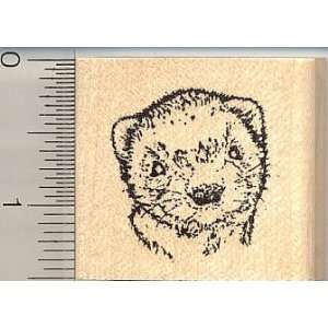  Small Baybee Ferret Face Rubber Stamp Arts, Crafts 